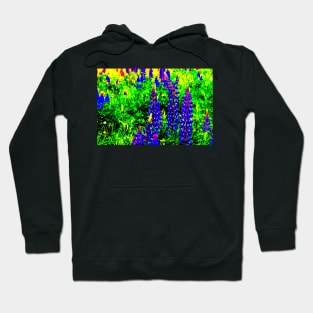 Texas Bluebonnet Wildflowers Hoodie